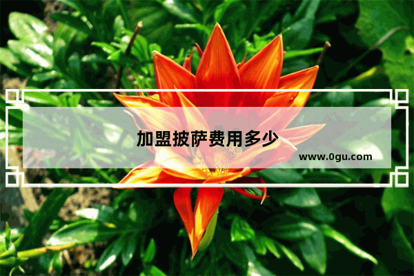 加盟披萨费用多少