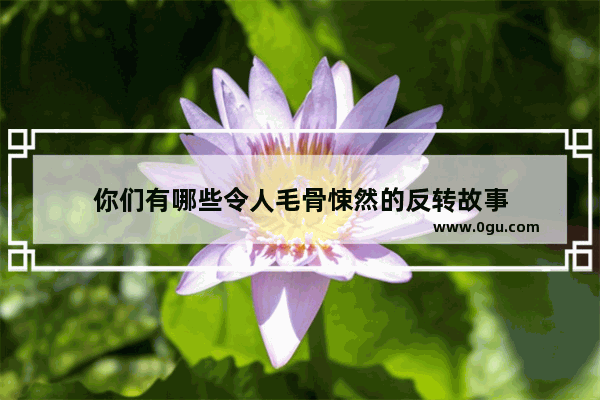 你们有哪些令人毛骨悚然的反转故事