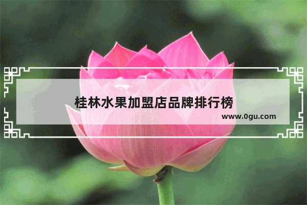 桂林水果加盟店品牌排行榜