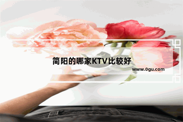 简阳的哪家KTV比较好