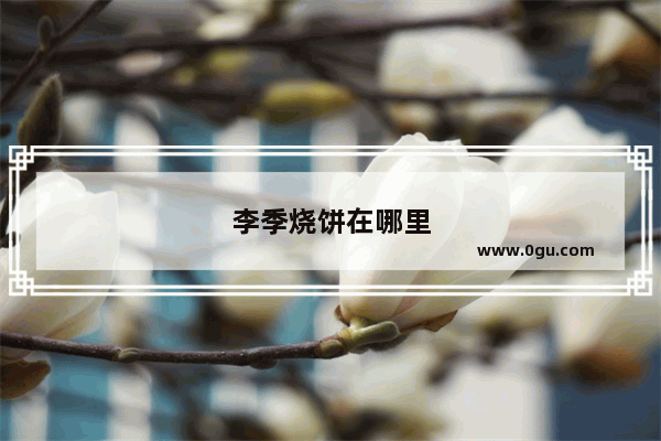 李季烧饼在哪里