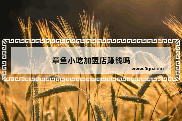 章鱼小吃加盟店赚钱吗