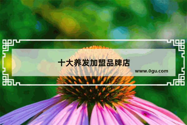 十大养发加盟品牌店