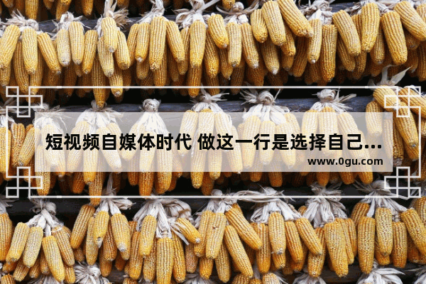 短视频自媒体时代 做这一行是选择自己发展还是和公司合作