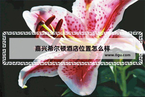 嘉兴希尔顿酒店位置怎么样