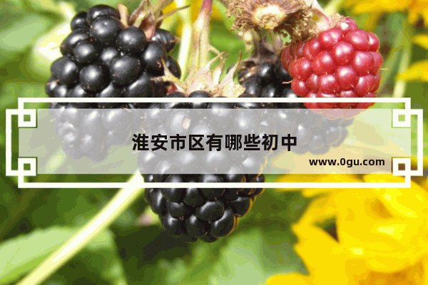 淮安市区有哪些初中