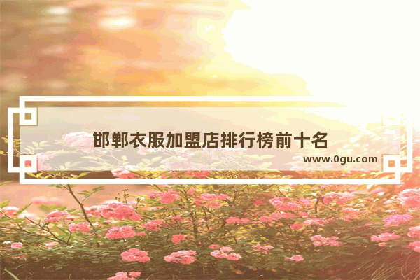 邯郸衣服加盟店排行榜前十名