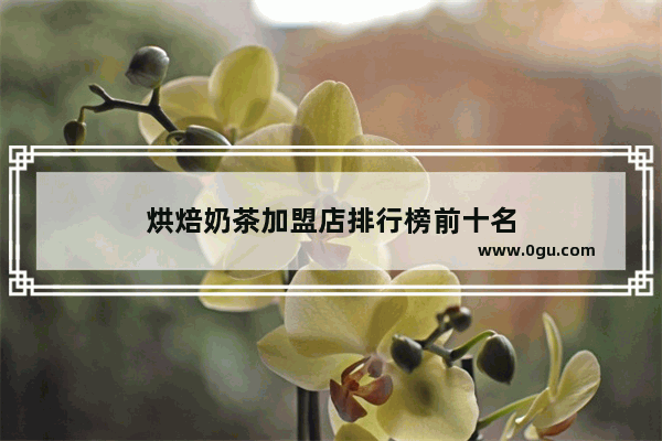 烘焙奶茶加盟店排行榜前十名