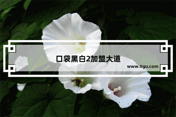 口袋黑白2加盟大道
