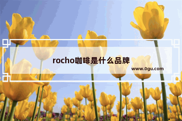 rocho咖啡是什么品牌