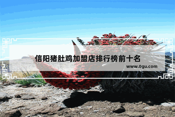 信阳猪肚鸡加盟店排行榜前十名