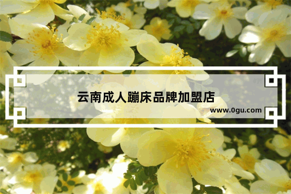 云南成人蹦床品牌加盟店