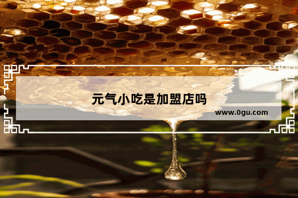 元气小吃是加盟店吗