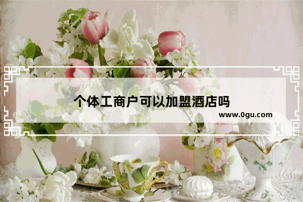 个体工商户可以加盟酒店吗