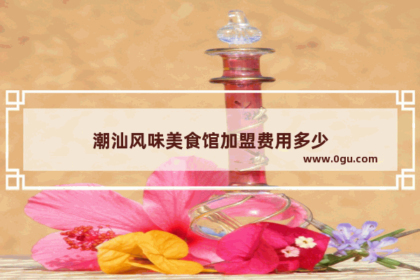 潮汕风味美食馆加盟费用多少