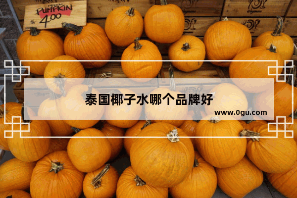 泰国椰子水哪个品牌好
