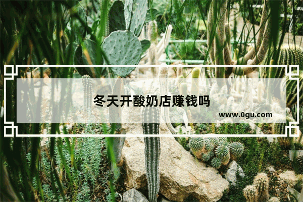 冬天开酸奶店赚钱吗