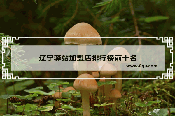 辽宁驿站加盟店排行榜前十名