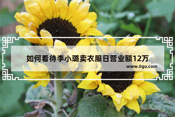 如何看待李小璐卖衣服日营业额12万