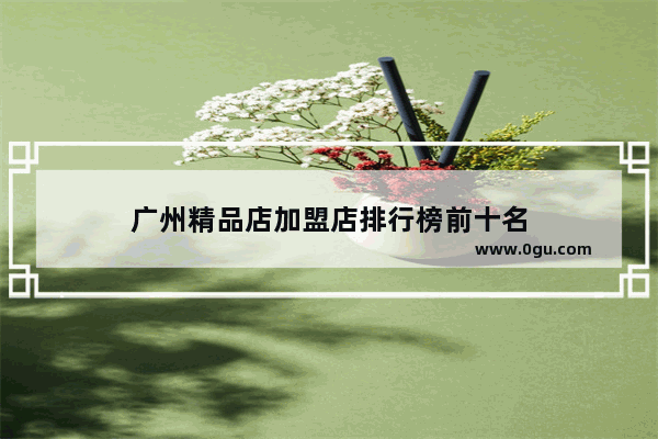 广州精品店加盟店排行榜前十名