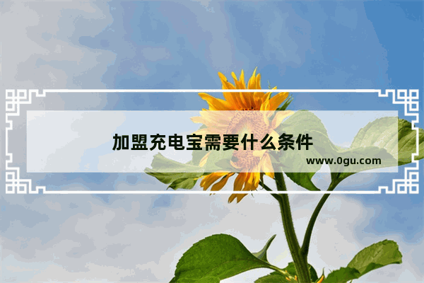 加盟充电宝需要什么条件