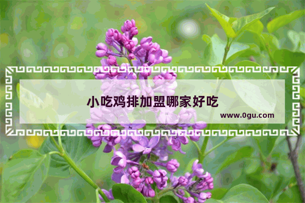 小吃鸡排加盟哪家好吃
