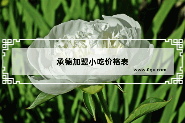 承德加盟小吃价格表