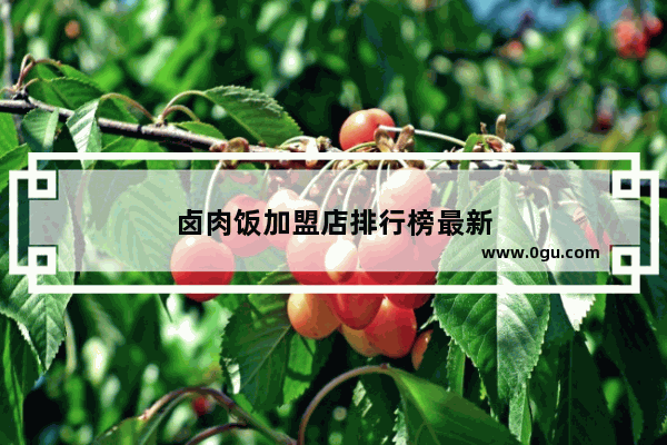 卤肉饭加盟店排行榜最新