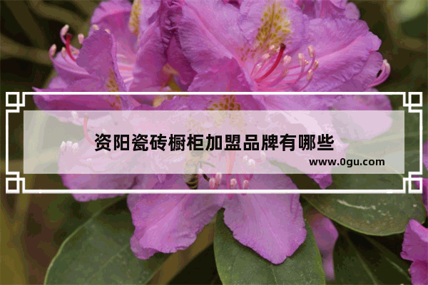 资阳瓷砖橱柜加盟品牌有哪些