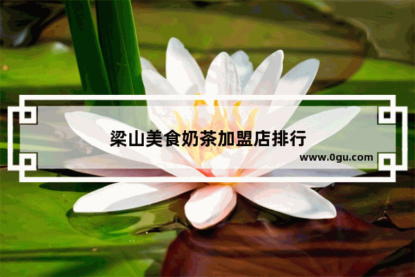 梁山美食奶茶加盟店排行