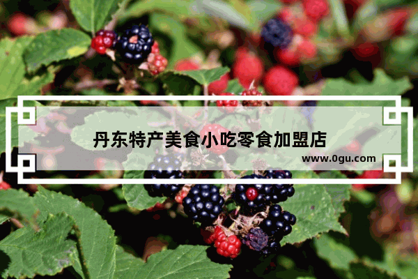 丹东特产美食小吃零食加盟店