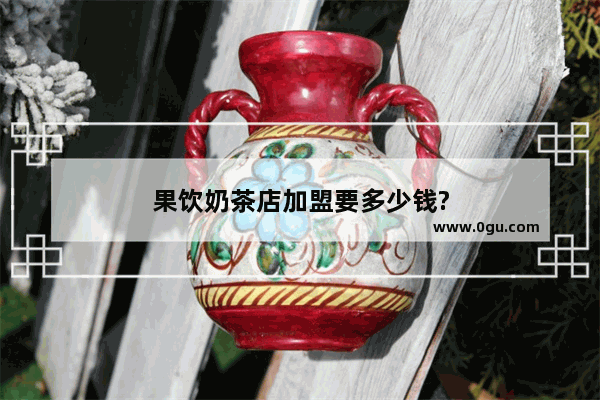 果饮奶茶店加盟要多少钱?