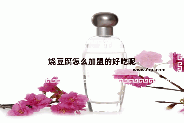 烧豆腐怎么加盟的好吃呢