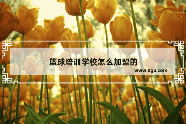 篮球培训学校怎么加盟的