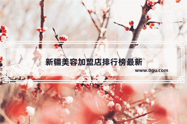 新疆美容加盟店排行榜最新