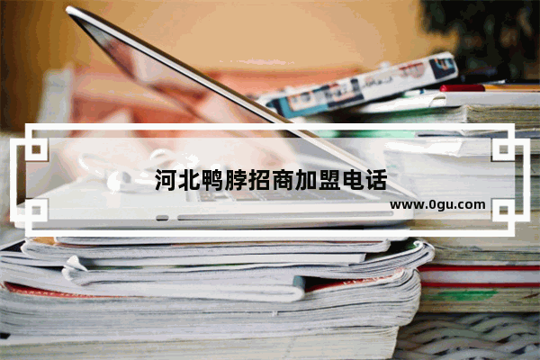 河北鸭脖招商加盟电话