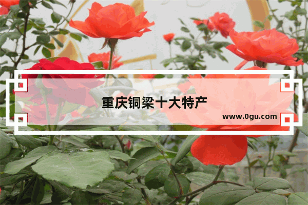 重庆铜梁十大特产