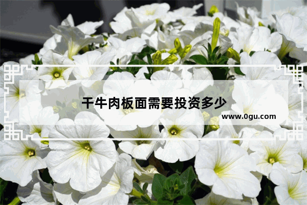 干牛肉板面需要投资多少