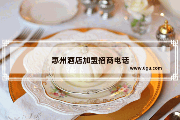惠州酒店加盟招商电话