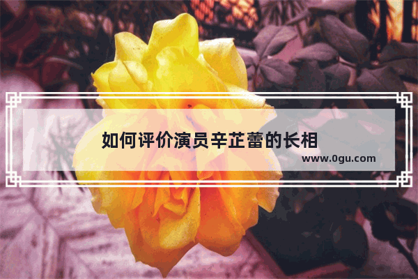如何评价演员辛芷蕾的长相