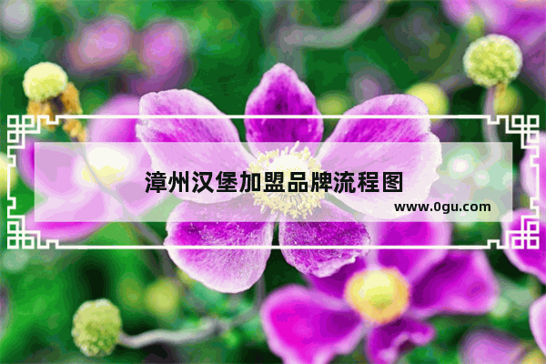 漳州汉堡加盟品牌流程图