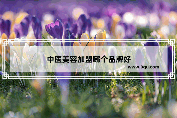 中医美容加盟哪个品牌好