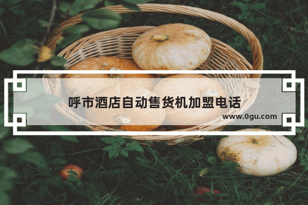 呼市酒店自动售货机加盟电话