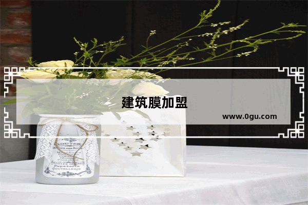 建筑膜加盟