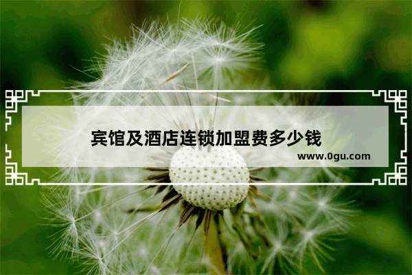 宾馆及酒店连锁加盟费多少钱