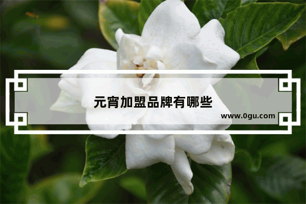 元宵加盟品牌有哪些