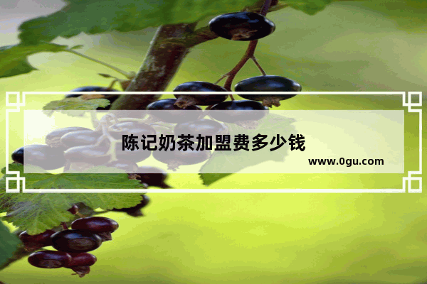 陈记奶茶加盟费多少钱