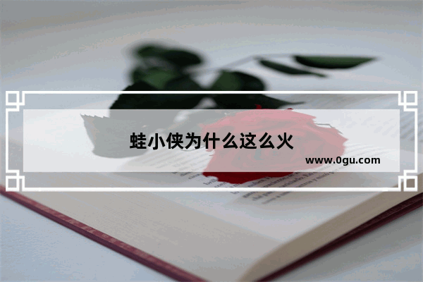 蛙小侠为什么这么火