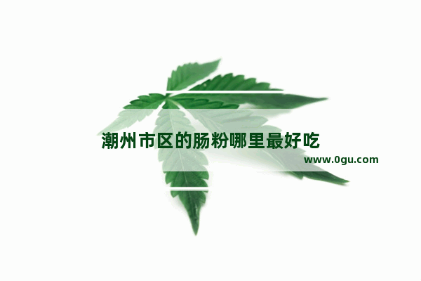 潮州市区的肠粉哪里最好吃