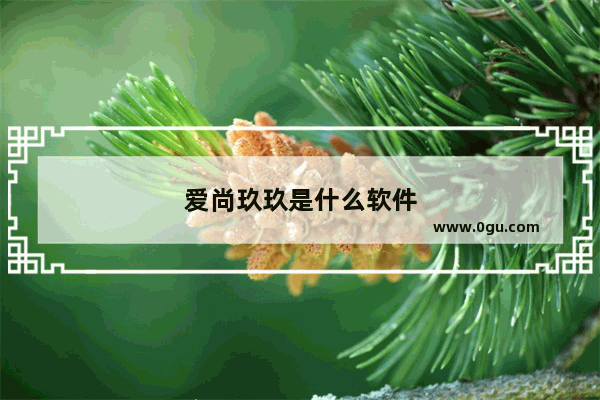爱尚玖玖是什么软件